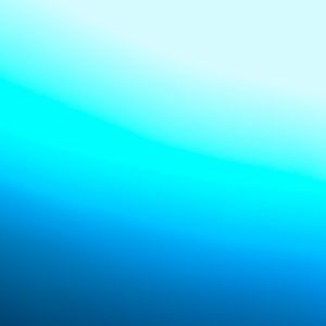 Meet your Posher, Daniella